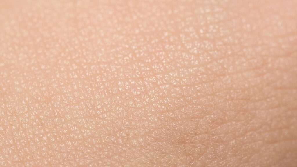 dermatologo biostimolazione trento