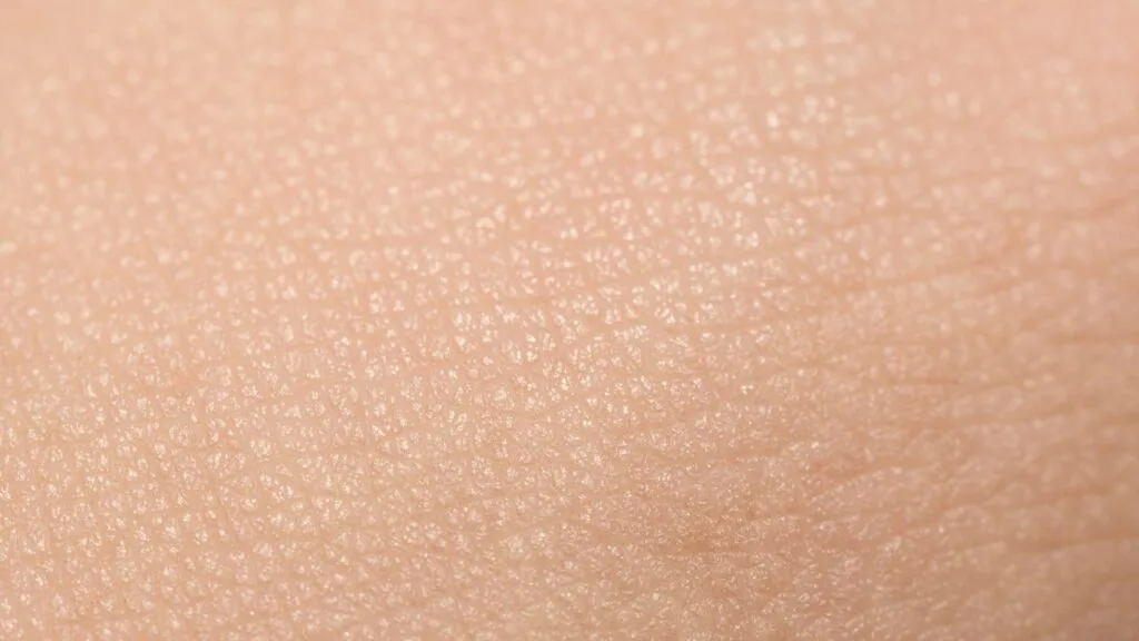 dermatologo biostimolazione trento