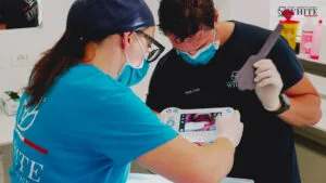 dentista trento white